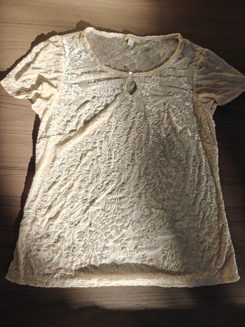 LAURA Embroidered Cream Sheer Top Petites S